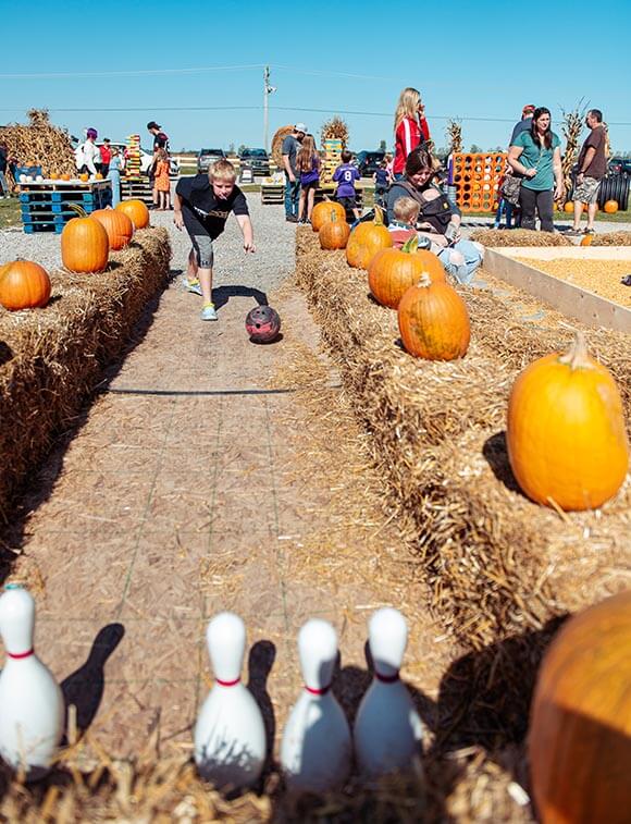 Bowling with pumpkins, at the Pumpkin Palooza at Keil's Produce and Greenhouse